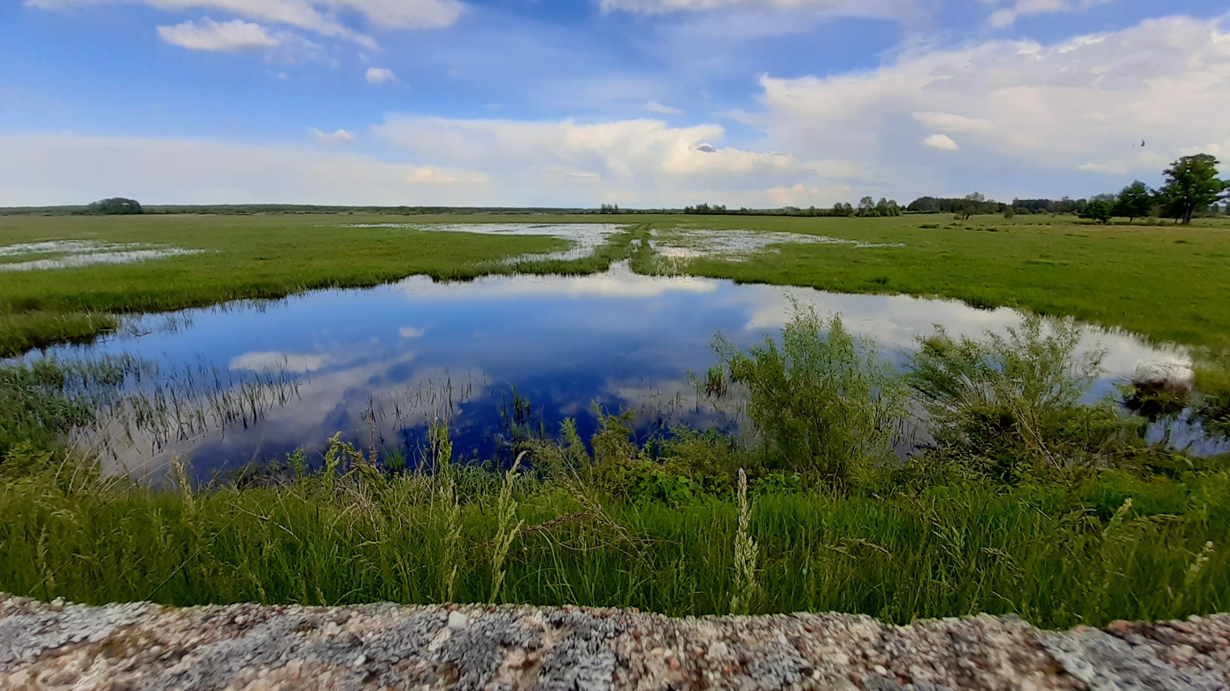 Biebrzański Park Narodowy